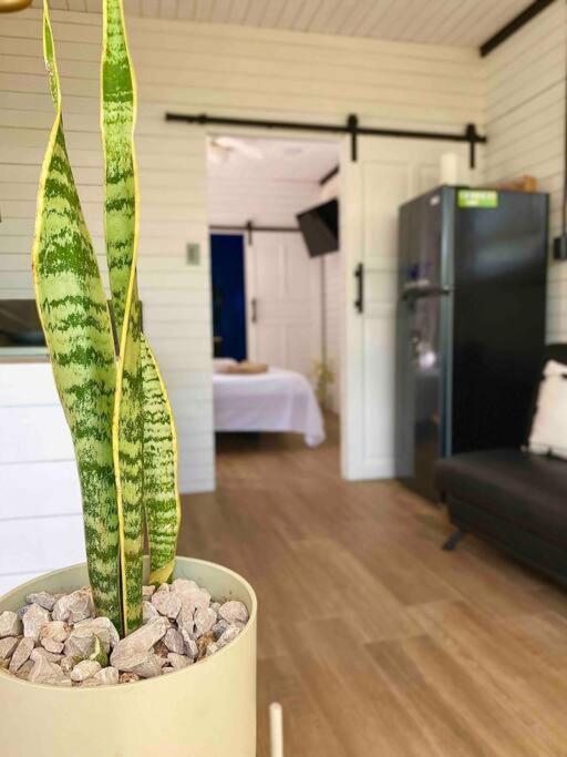 Hoja Azul Loft Guanacaste Apartment Hojancha ภายนอก รูปภาพ